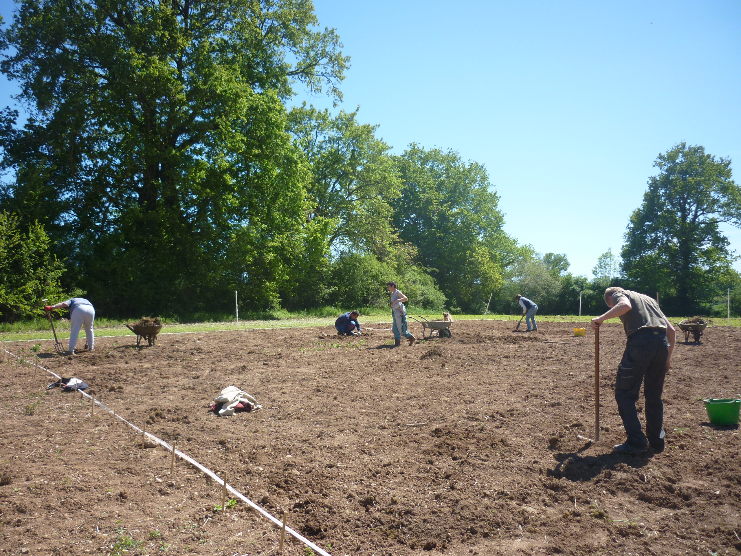 Désherbage manuel de la parcelle, avant plantations initiales